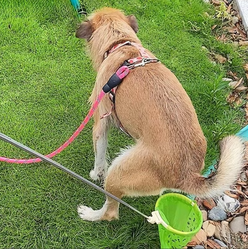POOP SCOOPER