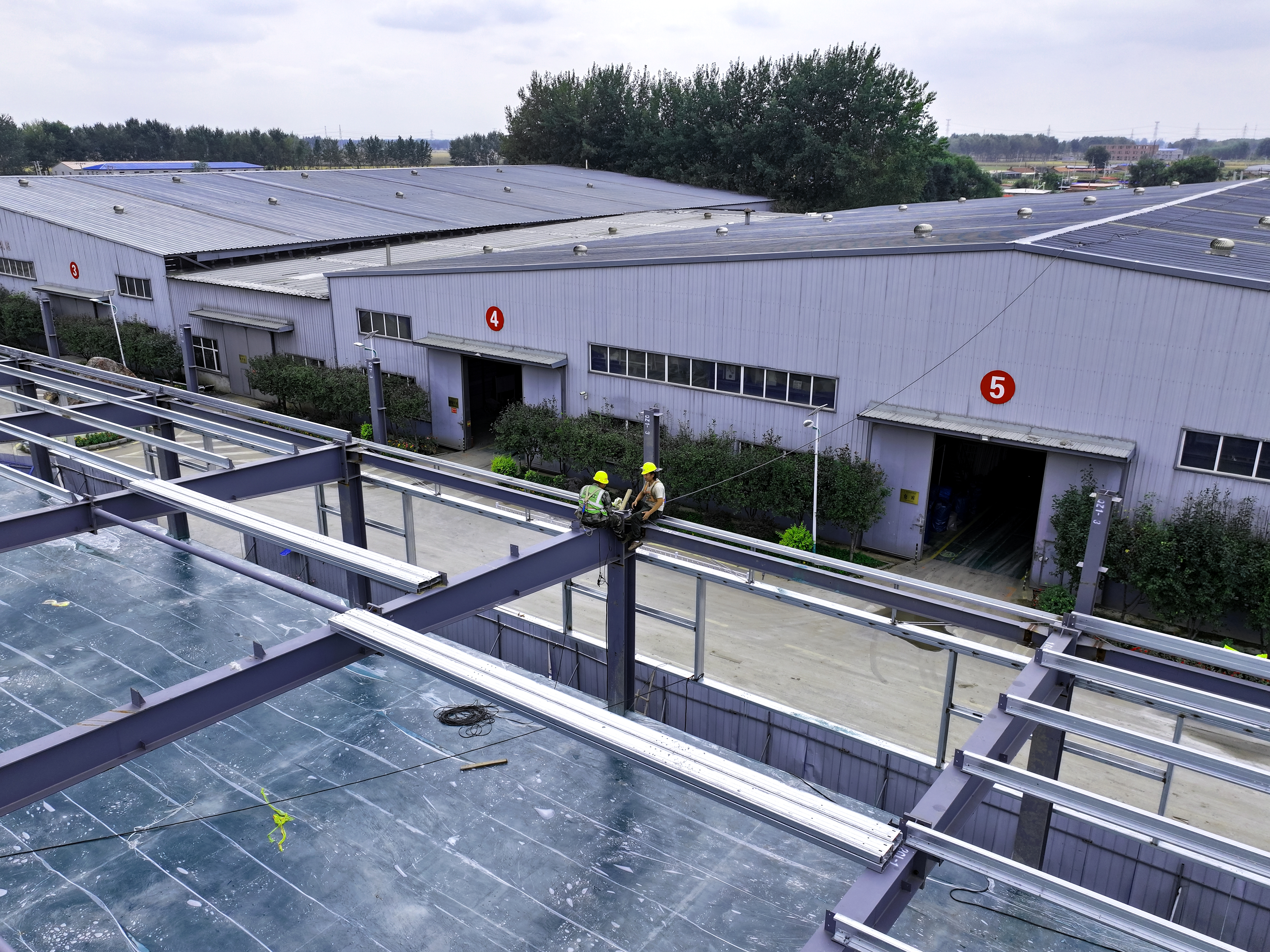 Dairy Farm Steel Structure Project | Portal Frame Design & Fabrication