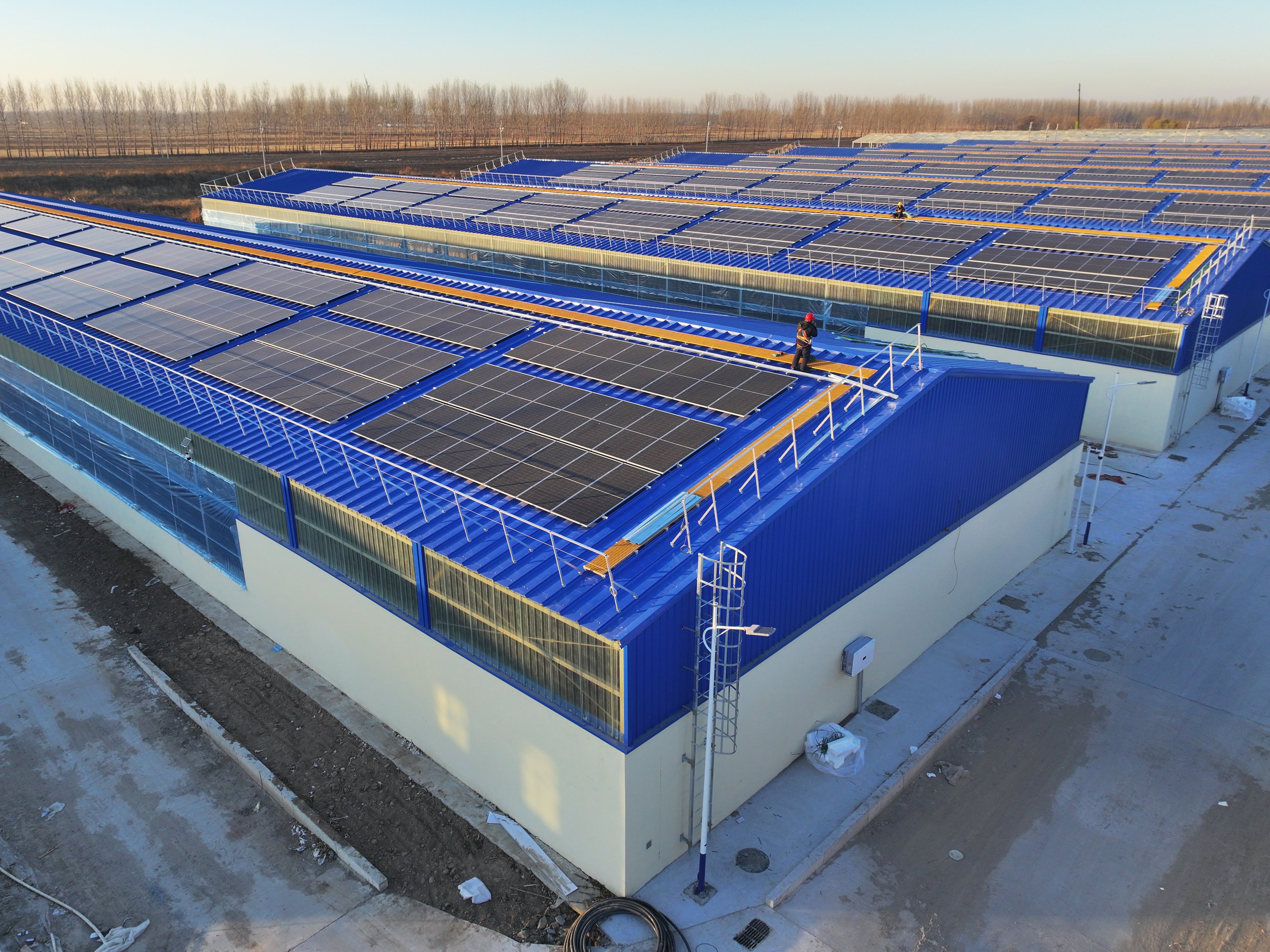 Coordinated Delivery of Portal Frames and Building Envelope Systems Zhongwei Heavy Industry Completes the Zhangwu Dairy Cattle Breeding Demonstration Park Project