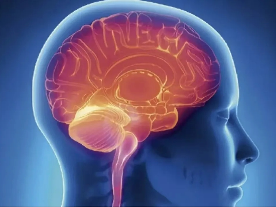 Approfondimenti sulla Salute | I Benefici Giornalieri della Terapia con Ossigeno Ipobarico