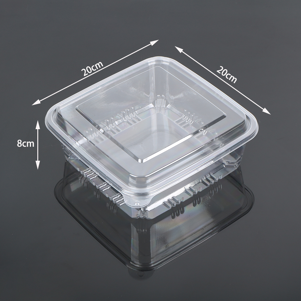2020 Pastry Box supplier