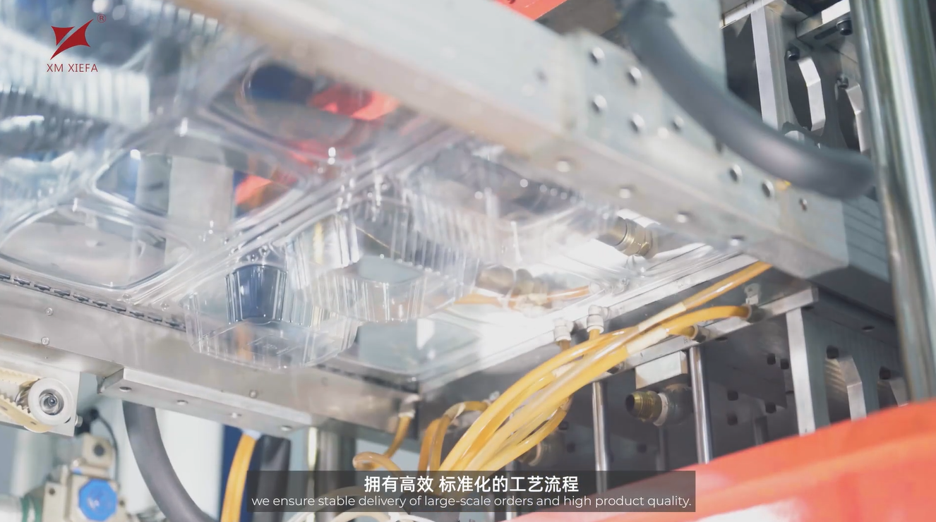 Inside XM XIEFA: One-Stop Food Packaging Solution Manufacturer in China
