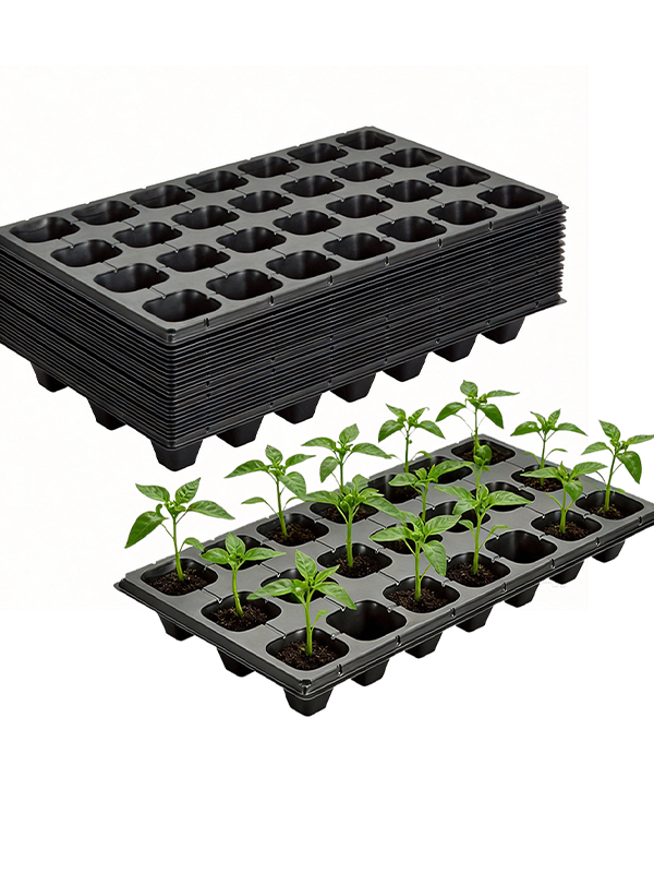 Seed And Seedling Trays
