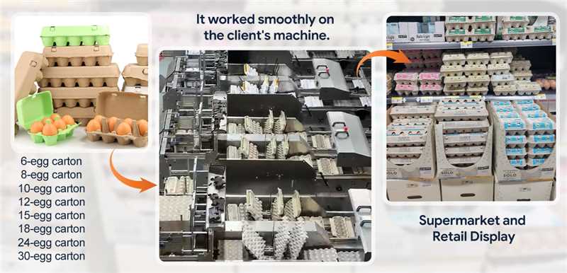 Global Egg Tray Distributor Case