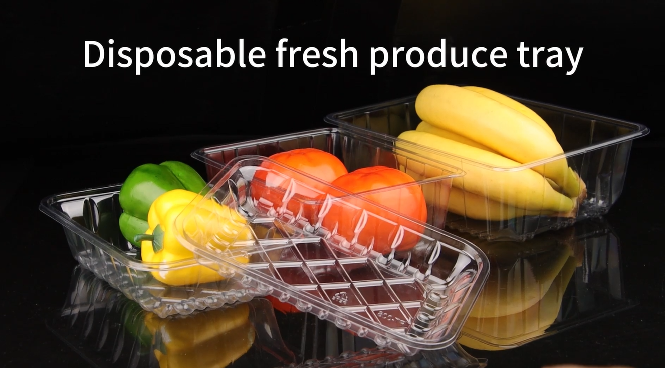 PET Transparent Tray | Strong, Clear & Eco-friendly | Factory Direct Supply