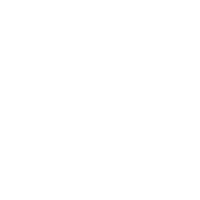Plant-Based and Sustainable