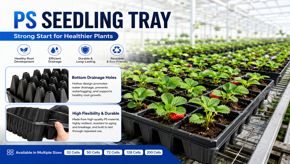 Wholesale 72 Cell PS Seedling Tray Reusable Plastic Nursery Plug Starter Flat for Greenhouse Vegetable Flower Plant