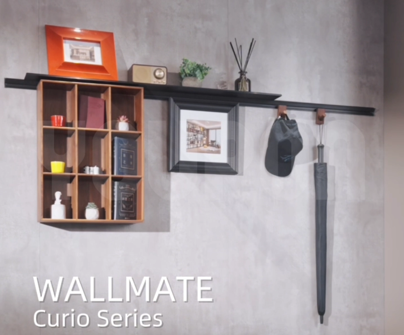 Curio Series: Flexible & Versatile Modular Storage