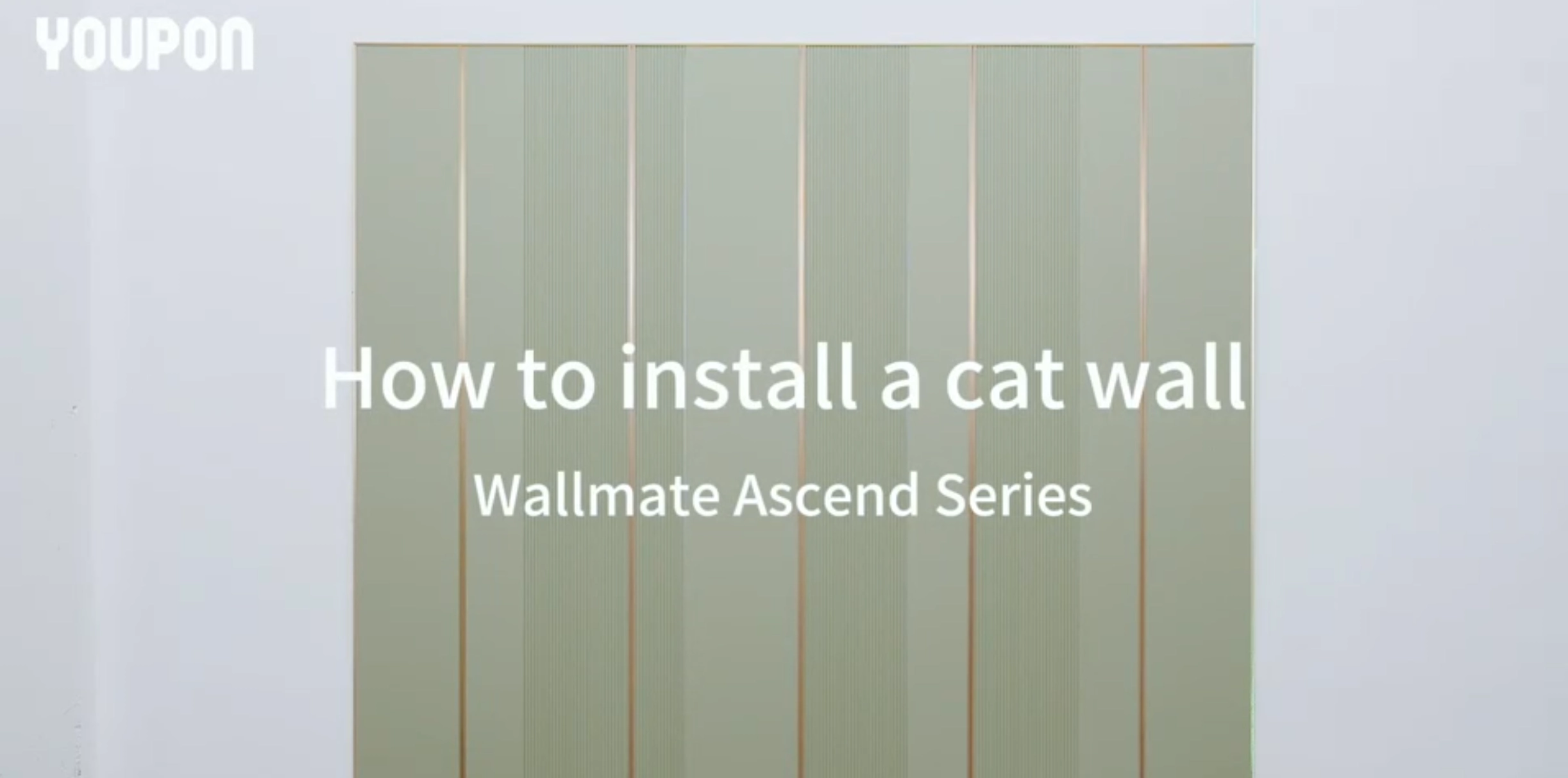 How to Install Cat Wall