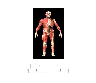 untitled.380.png