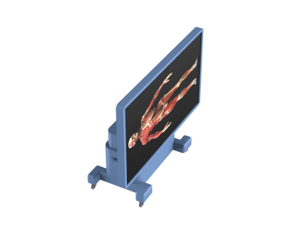 untitled.506.png