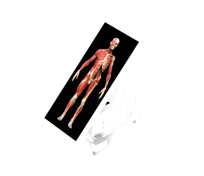 untitled.386.png