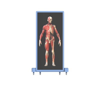 untitled.406.png