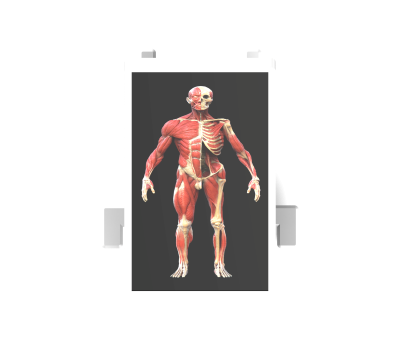 untitled.384.png