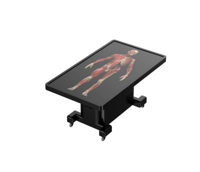 untitled.455.png