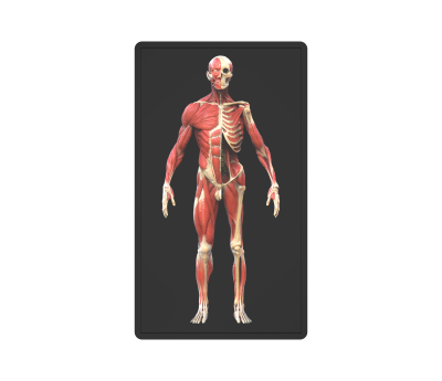 untitled.484.png