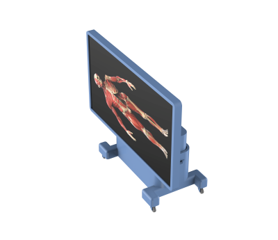untitled.475.png