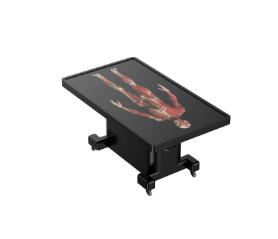 untitled.456.png