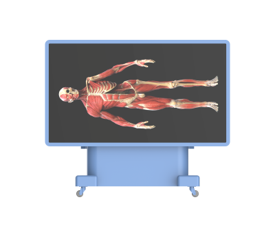 untitled.472.png