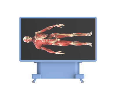 untitled.503.png