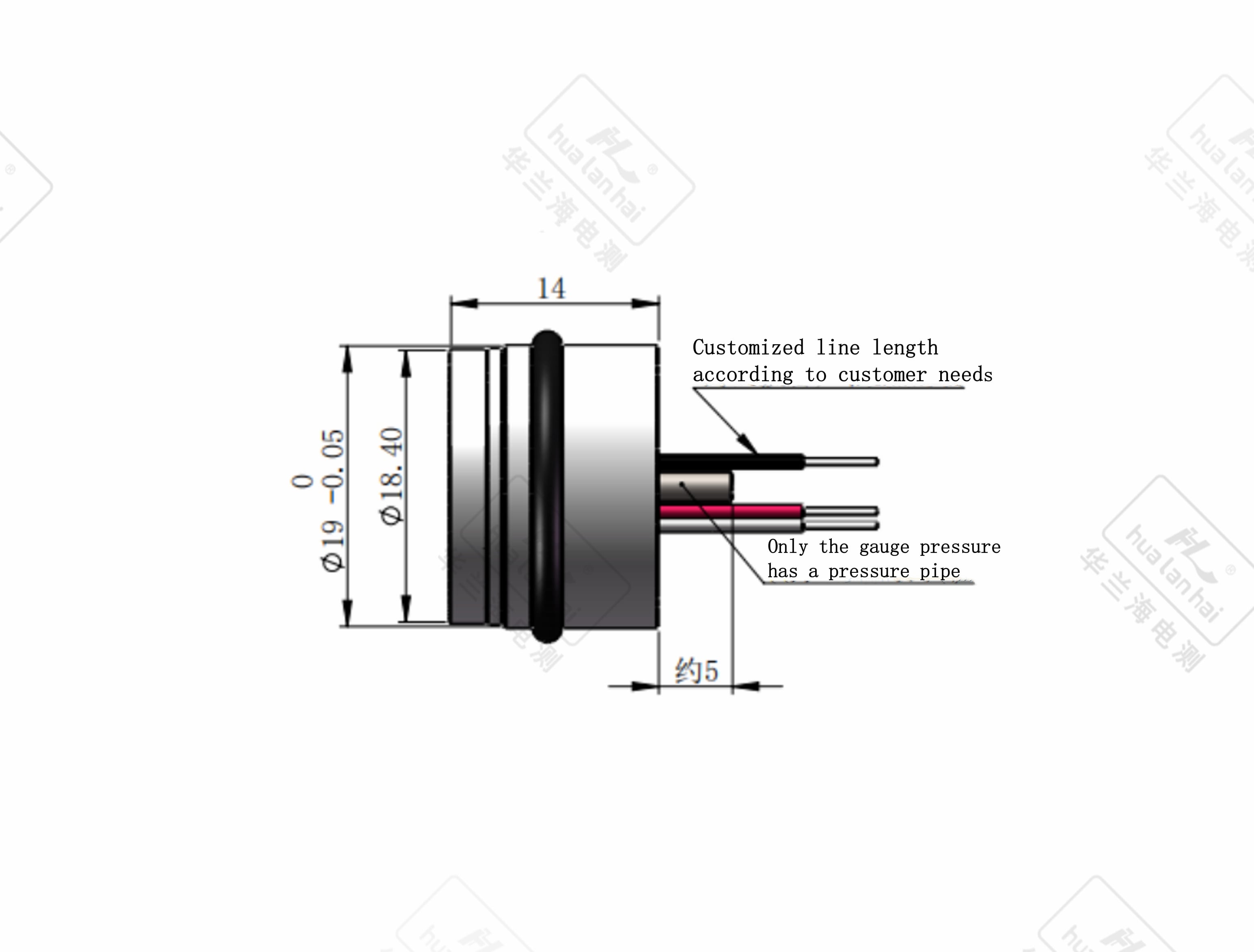 PT306 pressure sensor mechanism technical diagram specifications