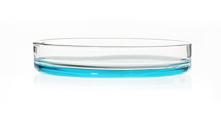 Unmatched Sterility Standards