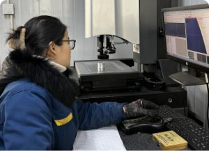 Sample full sizeinspection