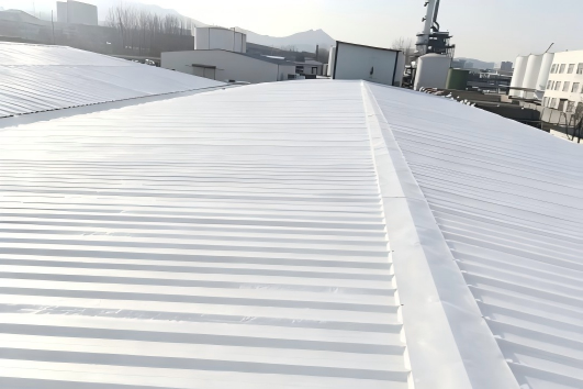 Eine Anwendung, drei große Probleme gelöst – Fallbeispiel zur Reparatur der Dachkonstruktion einer Lebensmittelverarbeitungsanlage