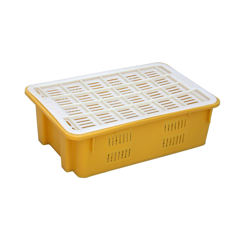 Các loại thùng nhựa và đặc điểm nổi bật