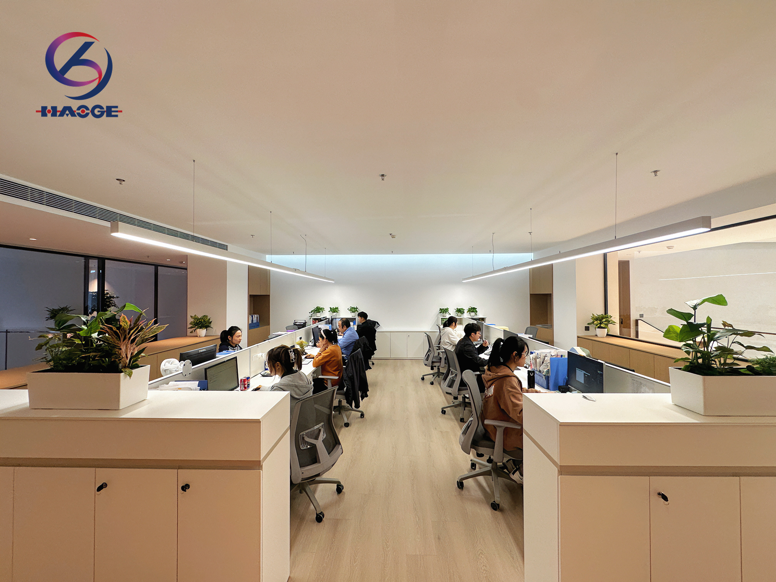 Dedicated Cross-Border Regulatory Compliance Customization Division
