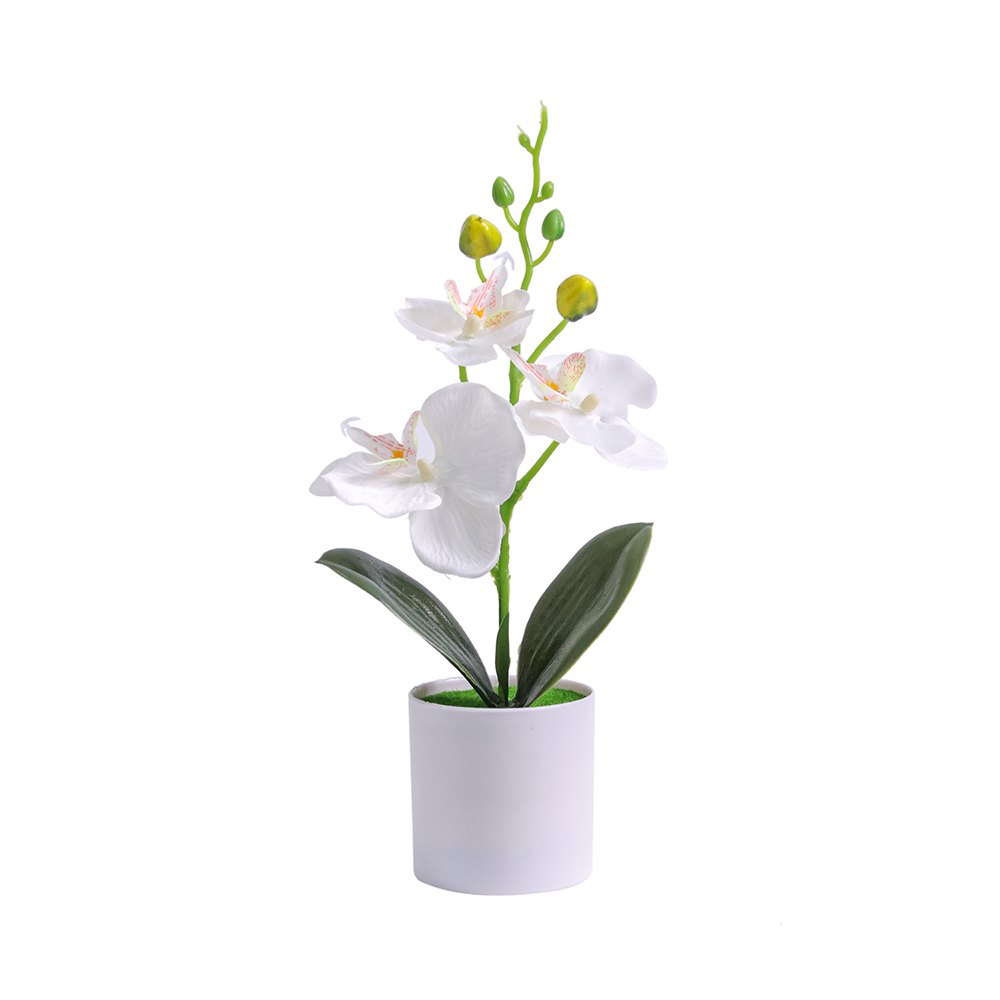 Bonsai Artificial: Design Sofisticado, Decoração Infalível