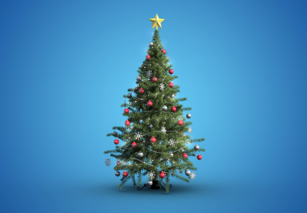 guia 2026 para Compra por Atacado de Árvores de Natal