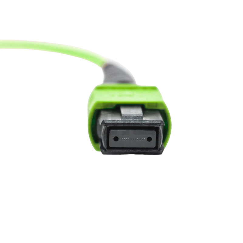Compact 16-Fiber Connectivity