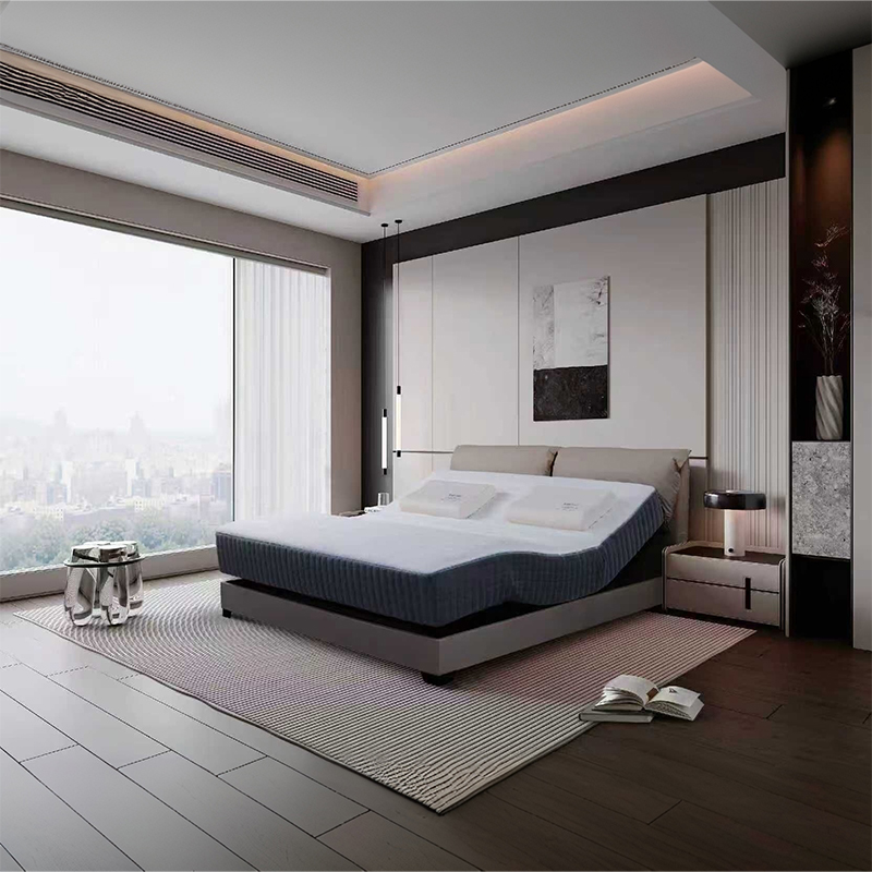 Smart Bed Mattress Standard3.jpg