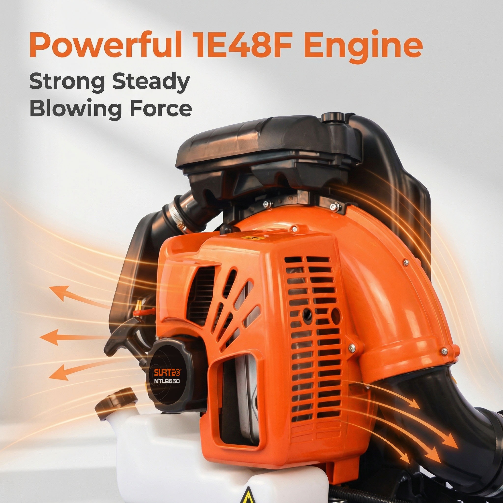 surtec ntlb650-1