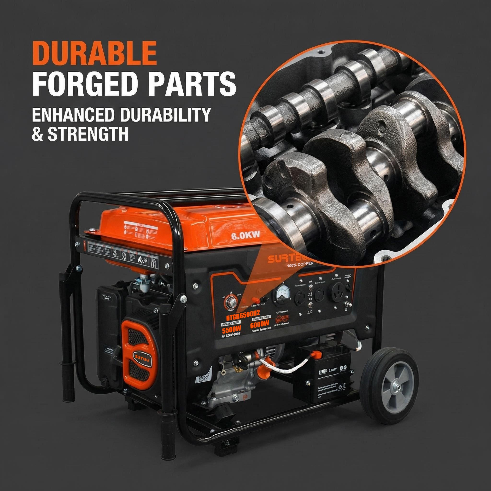 surtec ntgr6500h2-2
