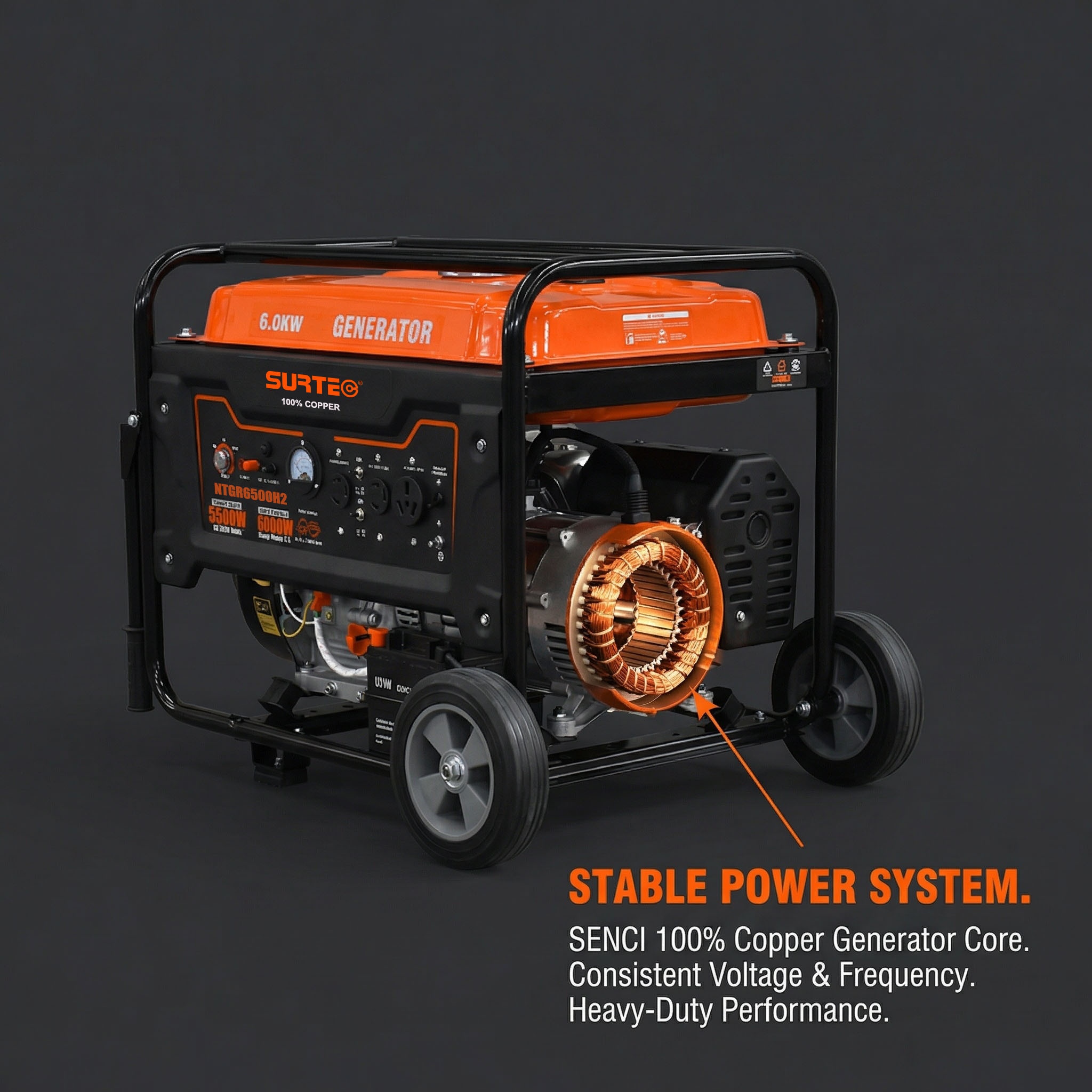 surtec ntgr6500h2-1