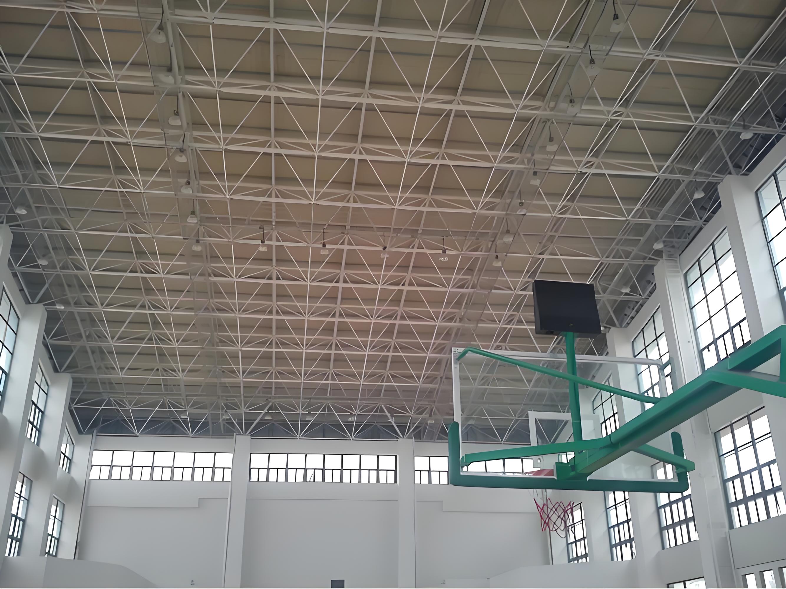 Indoor Stadium Space Frame Structure supplier