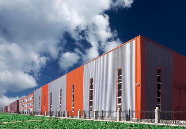 Crane Steel Structure Workshop & Steel Workshop with Overhead Crane 