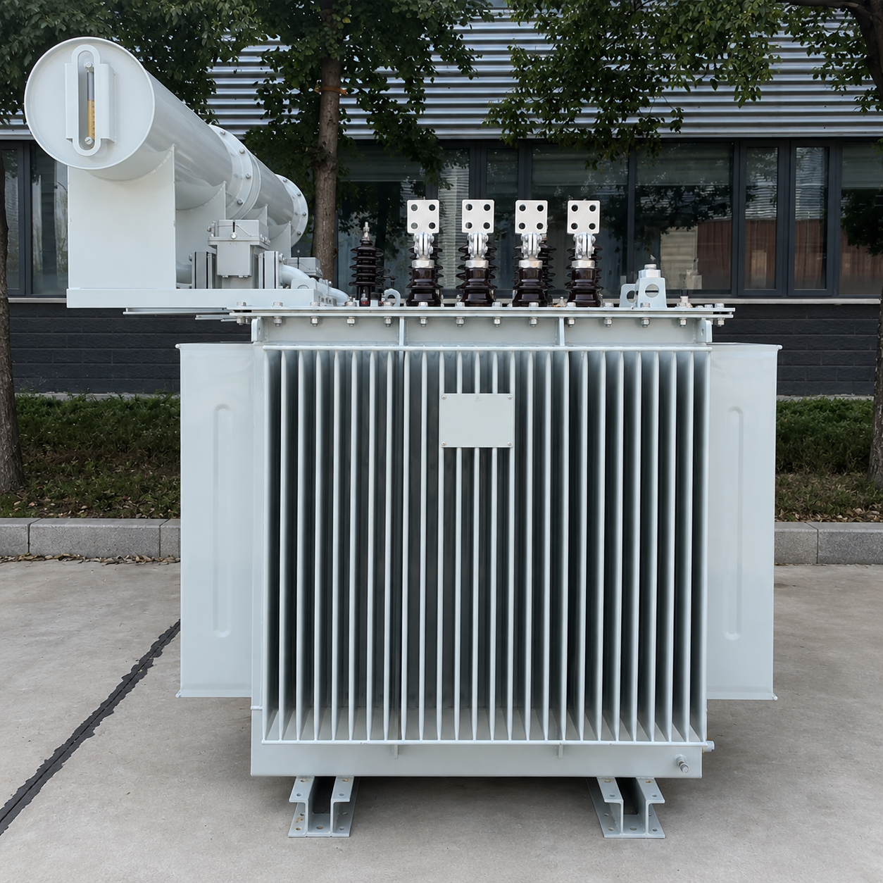 20-24 kV Oil-Immersed Distribution Transformer