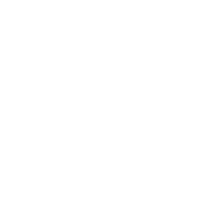 IQC (Incoming Quality Control)