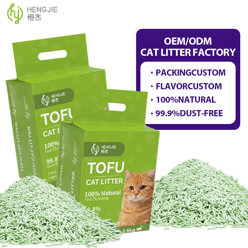 Daily Maintenance Tips for Kitty Litter