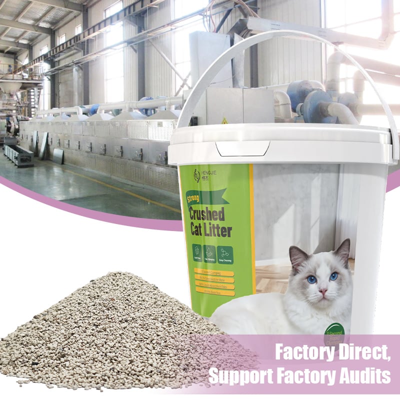 How Kitty Litter Protects Kitten Health and Cleanliness