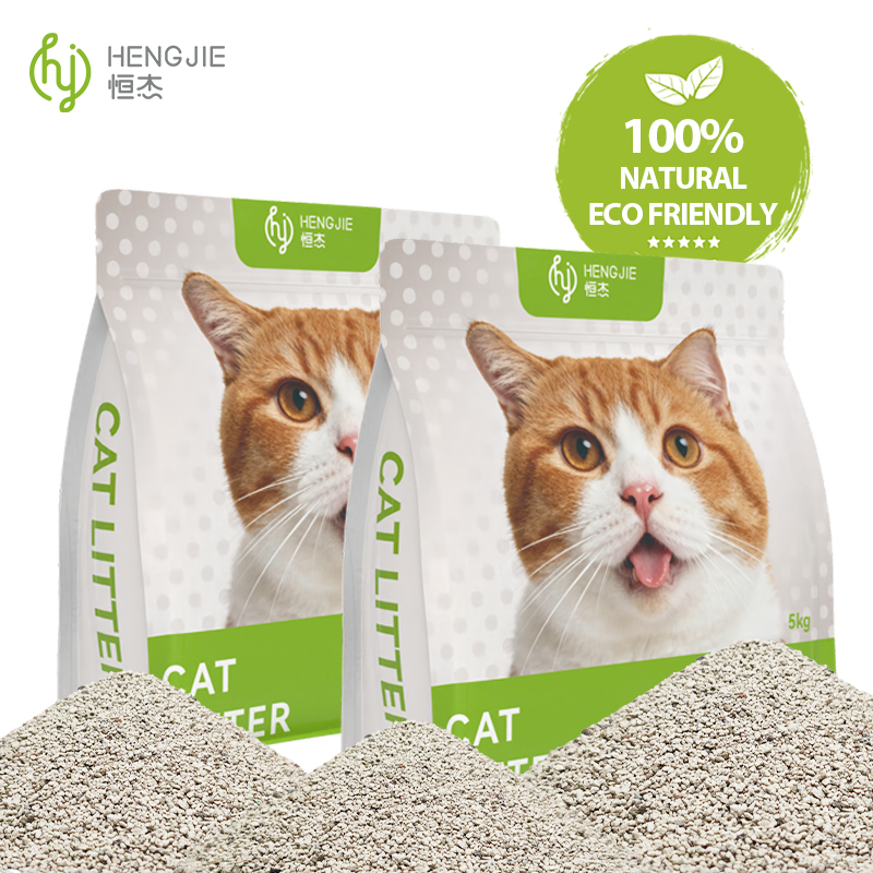 Karışık Kedi Tüveti Kullanan Çoklu Kedi Evleri İçin En İyi Uygulamalar