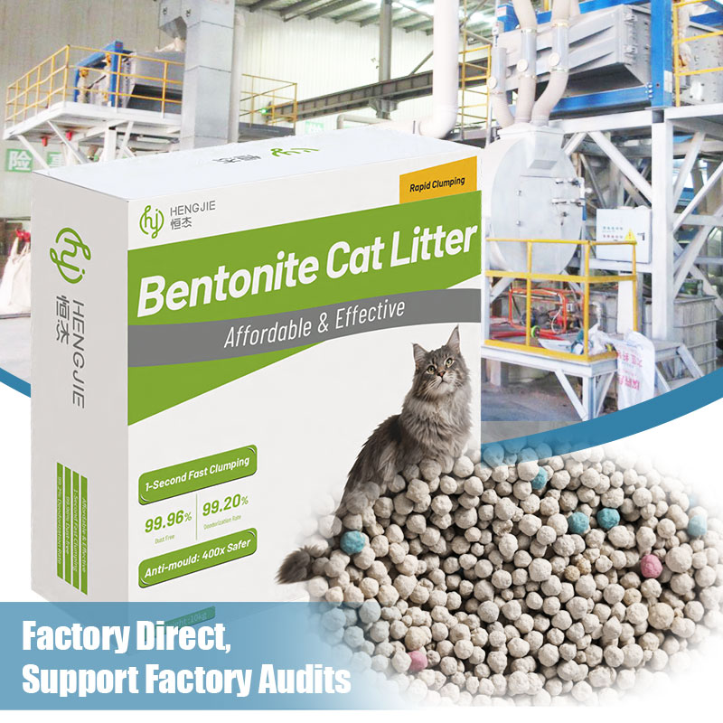 Comment choisir un fournisseur fiable de litière pour chat à base de bentonite en 2026 (guide complet d’achat)