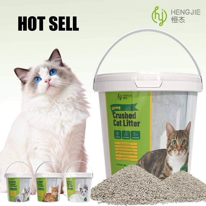 bentonite cat litter brands.jpg