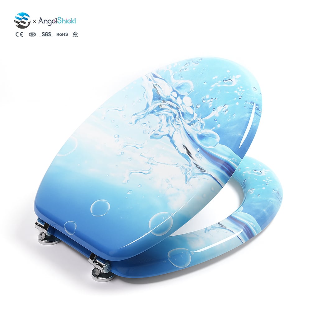 https://shopcdnalpha.grainajz.com/category/485092/4435/1f464a7fca556a97cbceabb2c475b67b/personalized_toilet_seat_%286%29.jpg
