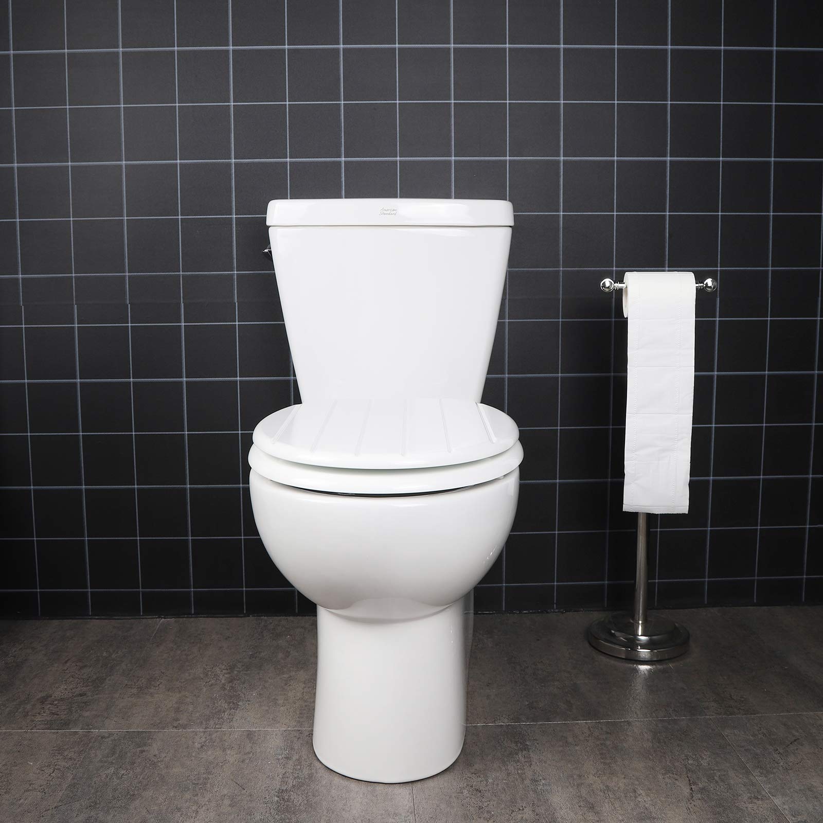 https://shopcdnalpha.grainajz.com/category/485092/4435/37ca0e3cfa42abd4b091af337163bef0/toilet_seats_for_large_people_%284%29.jpg