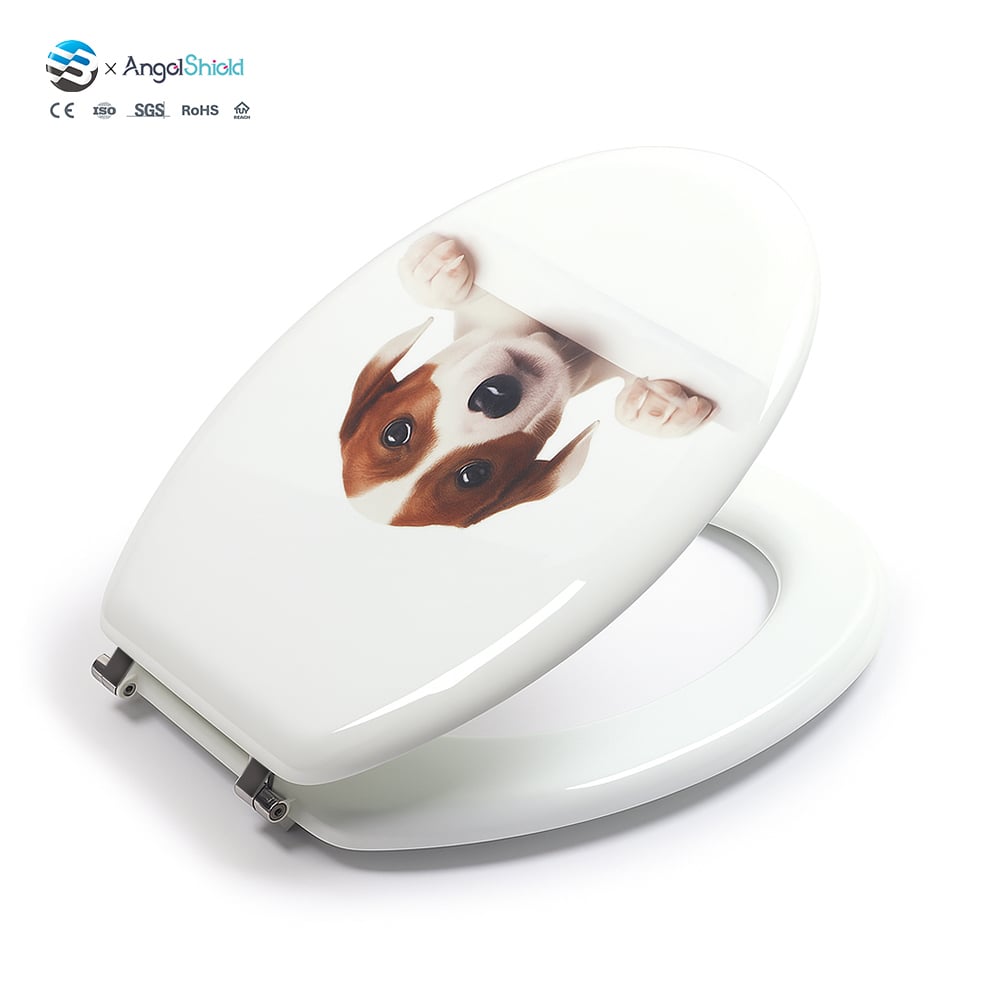 https://shopcdnalpha.grainajz.com/category/485092/4435/7eea27e17242a7284cae58dde61140b2/personalized_toilet_seat_%282%29.jpg