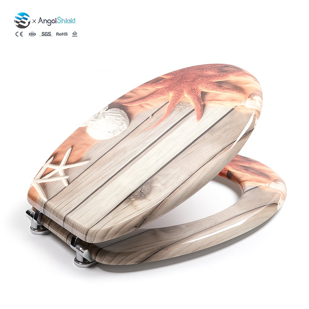 https://shopcdnalpha.grainajz.com/category/485092/4435/9771ce6f28cb11090a8267926ab96afb/personalized_toilet_seat_%283%29.jpg